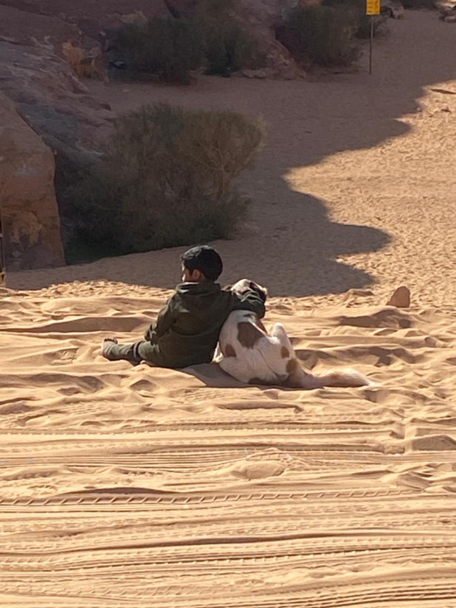 Wadi Rum Bedouin Heart Camp מראה חיצוני תמונה